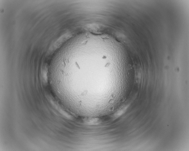 X0000052600334200507221640