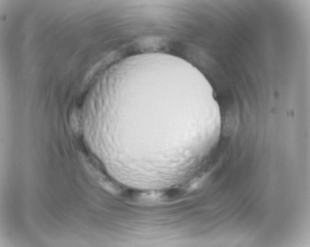 X0000052600335200507221640