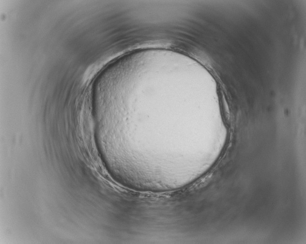 X0000052600337200507221639