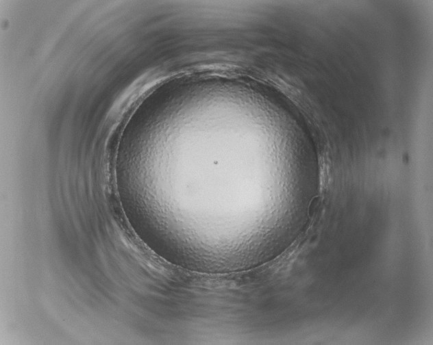 X0000052600339200507221639