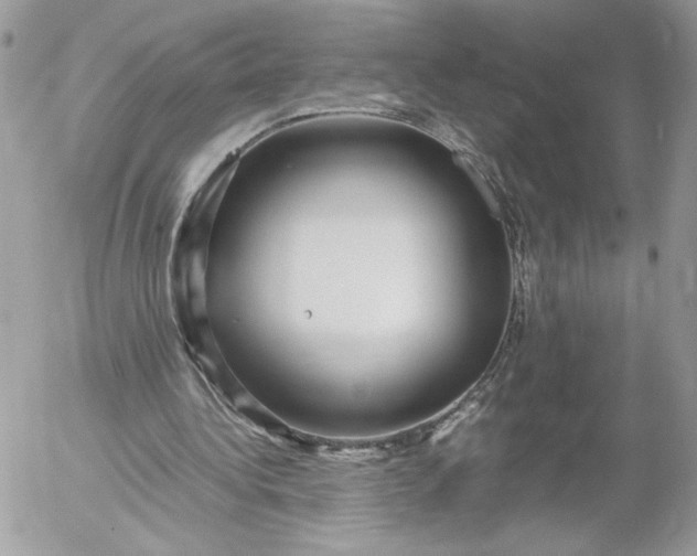 X0000052600340200507221639