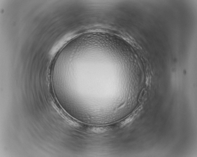 X0000052600341200507221639