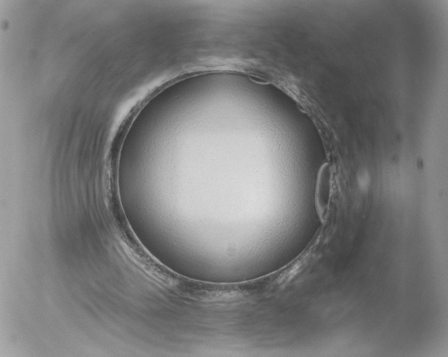 X0000052600342200507221639