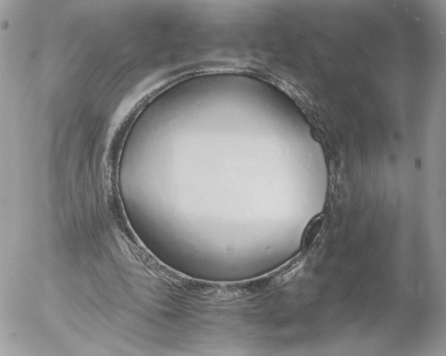 X0000052600343200507221639