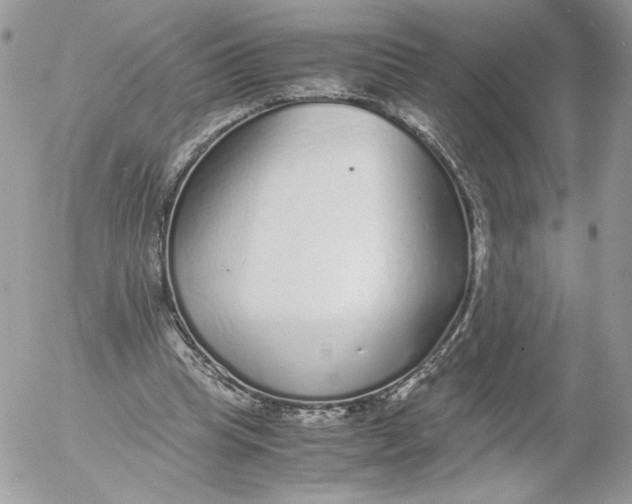 X0000052600345200507221639