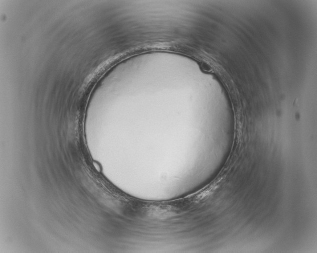 X0000052600346200507221639