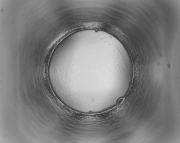 X0000052600347200507221639