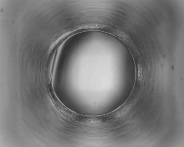 X0000052600348200507221639