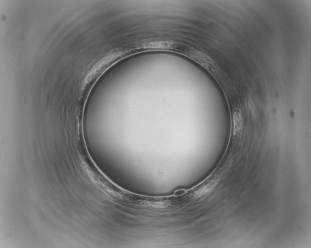 X0000052600349200507221639