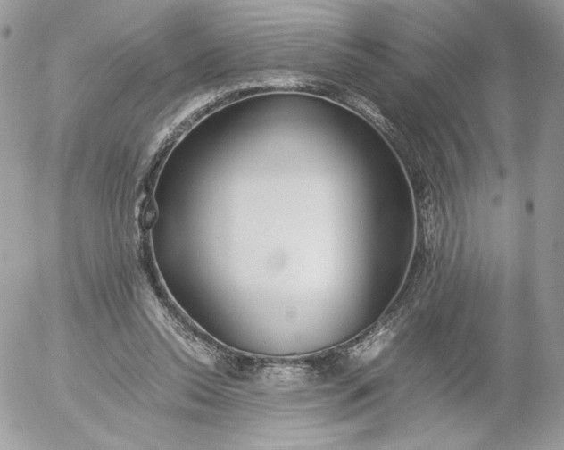 X0000052600350200507221639