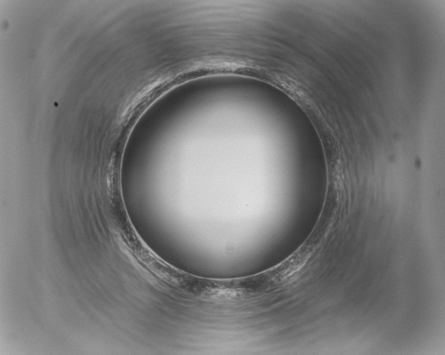 X0000052600352200507221640