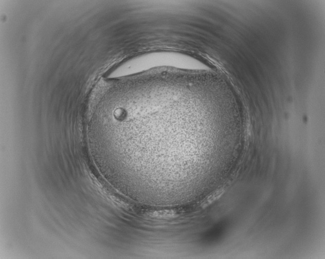 X0000052600353200507221640