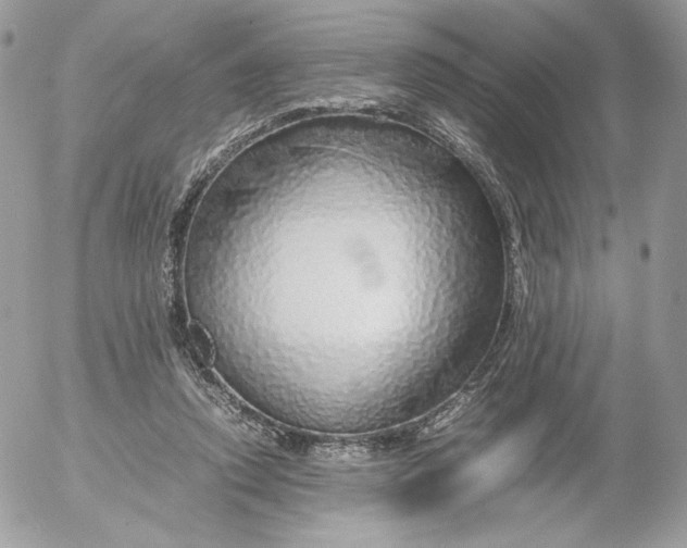 X0000052600354200507221640