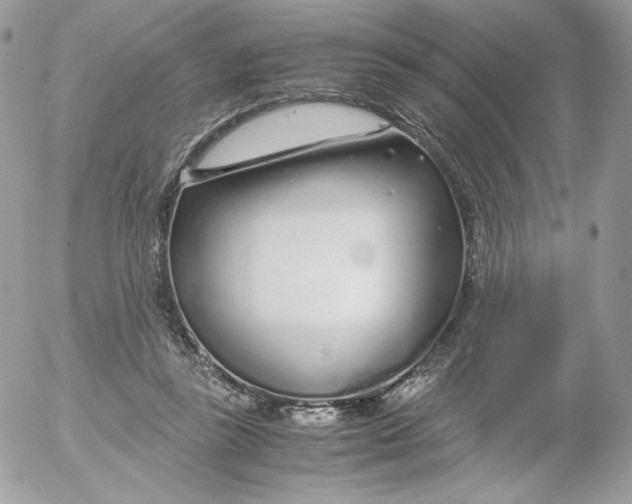 X0000052600355200507221640