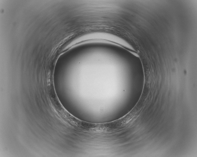 X0000052600356200507221640