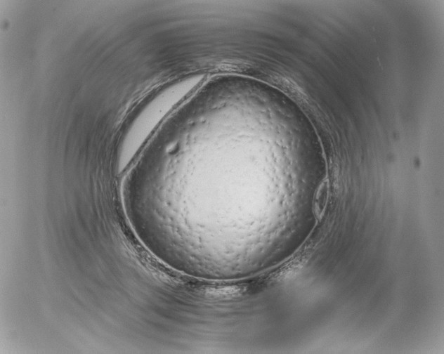 X0000052600357200507221640