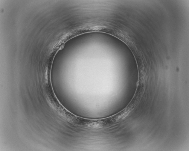 X0000052600358200507221640