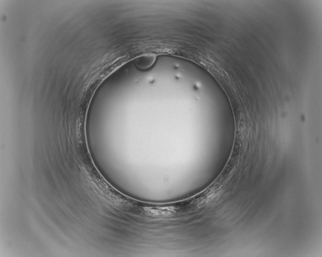 X0000052600359200507221640