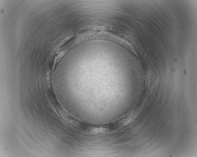 X0000052600360200507221640