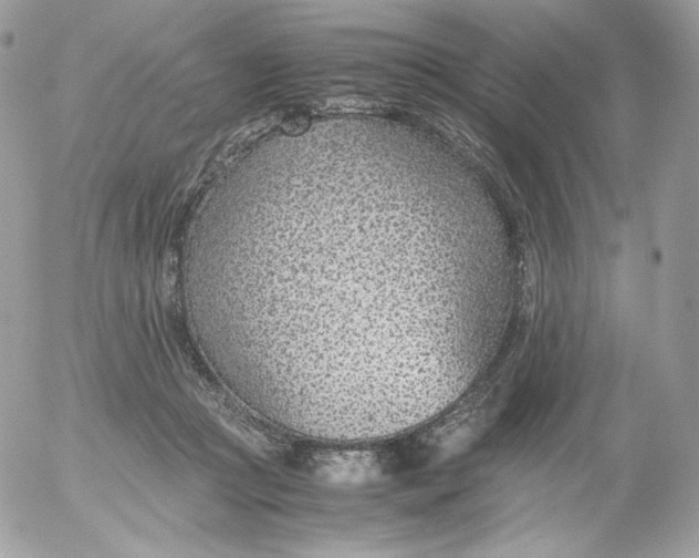 X0000052600361200507221640