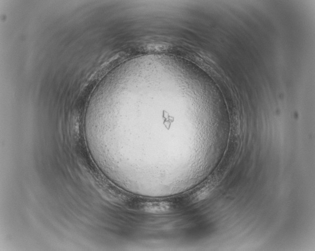 X0000052600363200507221640