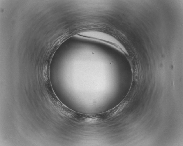 X0000052600364200507221640