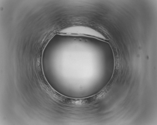 X0000052600365200507221640