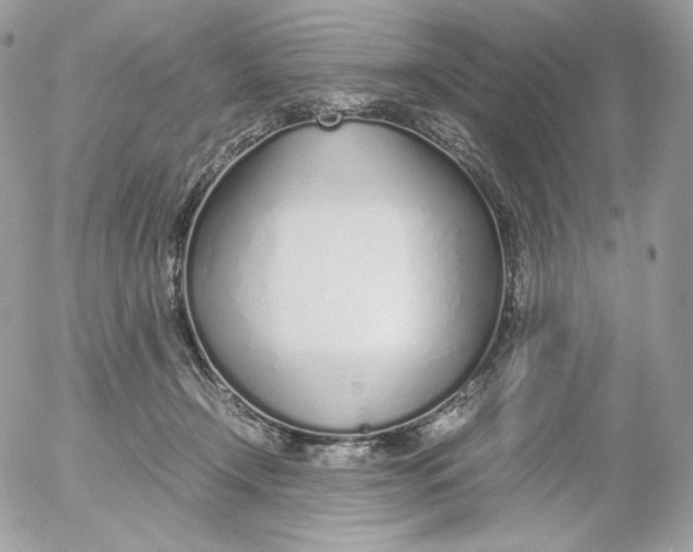 X0000052600366200507221640