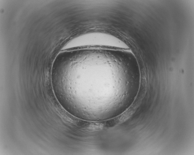 X0000052600369200507221640