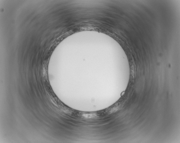 X0000052600371200507221640