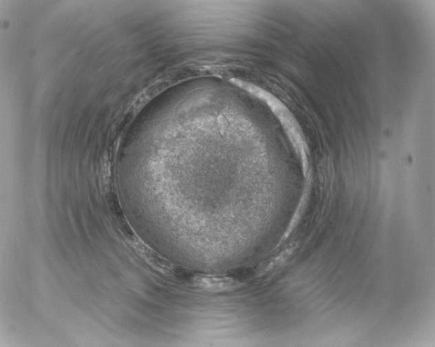 X0000052600372200507221640