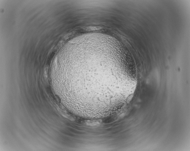 X0000052600373200507221640