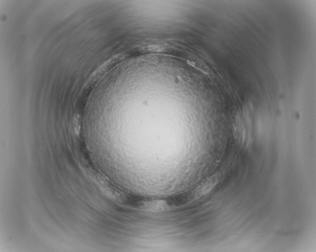 X0000052600374200507221640