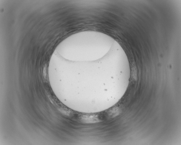 X0000052600375200507221640