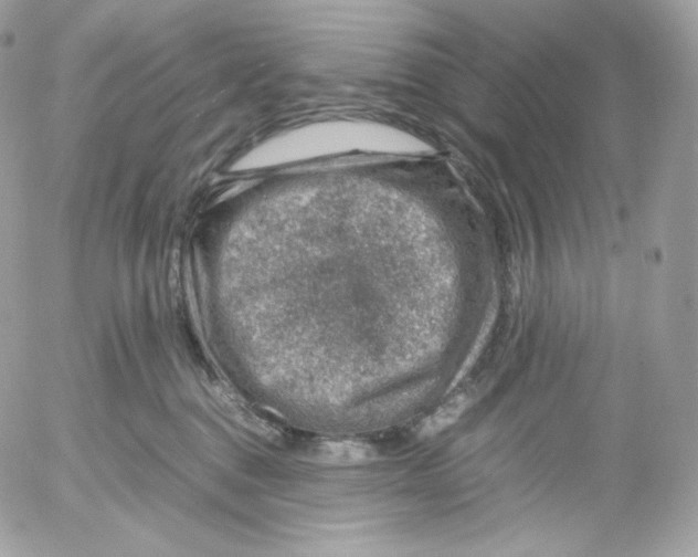 X0000052600376200507221640