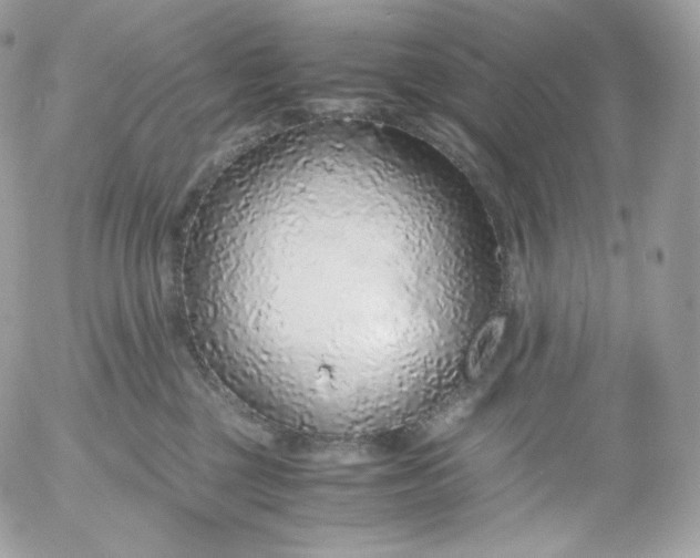 X0000052600377200507221640