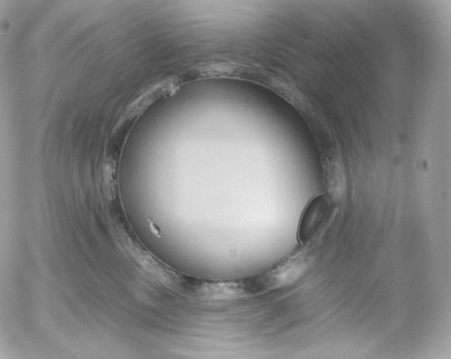 X0000052600378200507221640