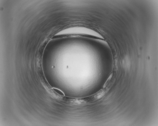 X0000052600379200507221640