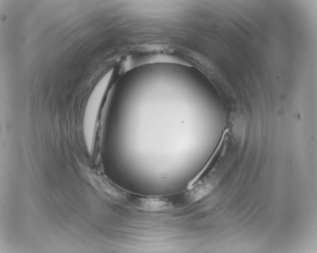 X0000052600380200507221640