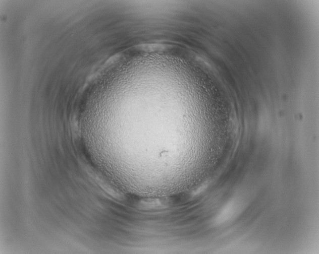 X0000052600381200507221640