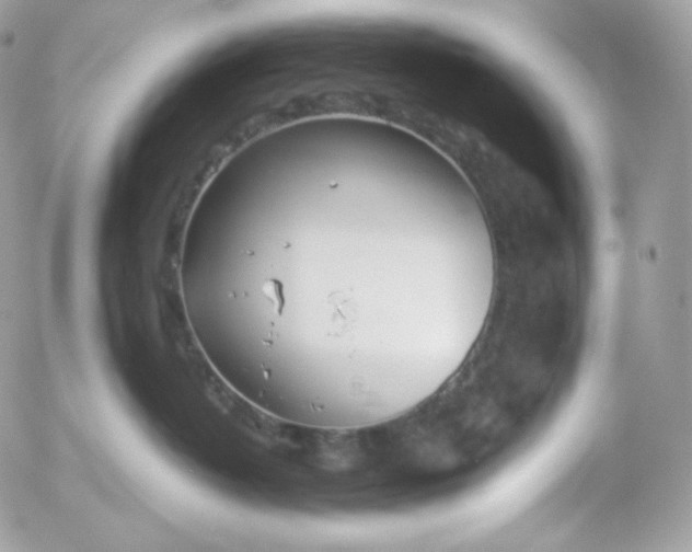 X0000052600382200507221640