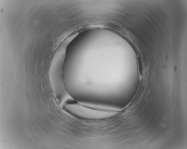 X0000052600385200507221639