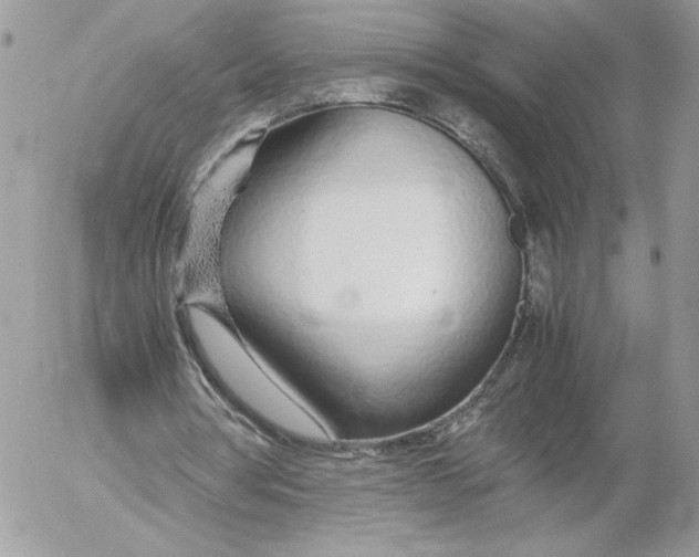 X0000052600386200507221639