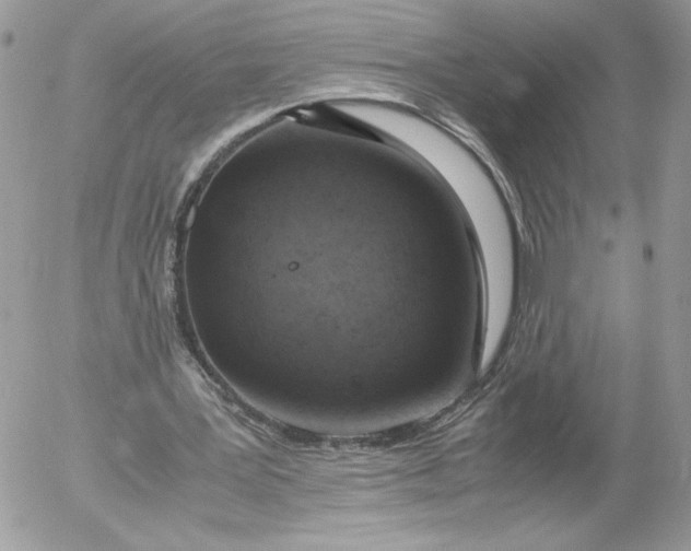 X0000052600387200507221639