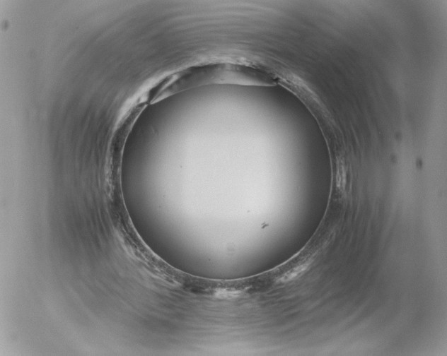 X0000052600388200507221639