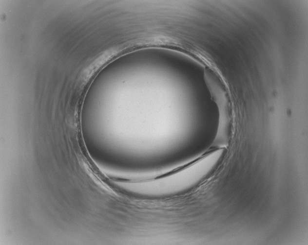 X0000052600389200507221639