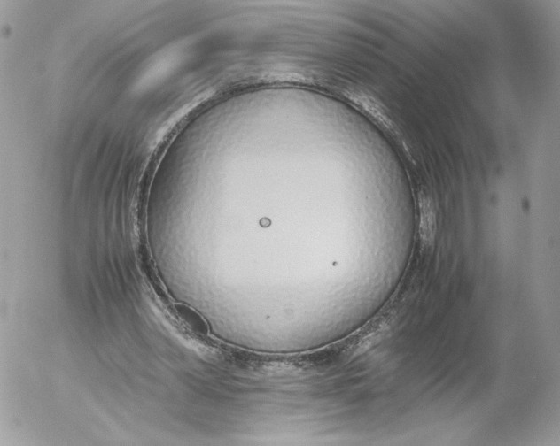 X0000052600390200507221639