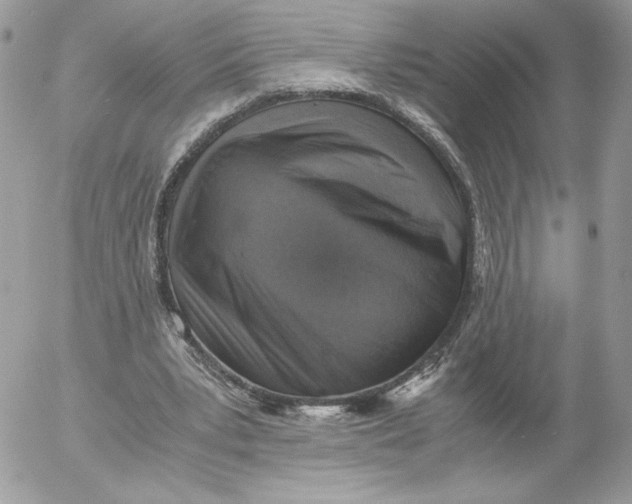 X0000052600391200507221639