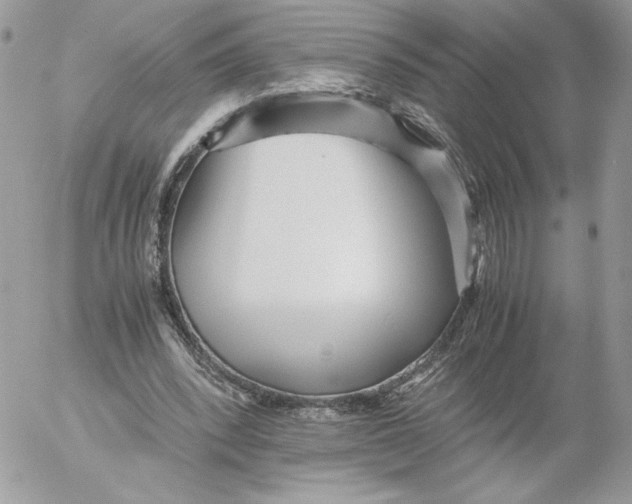 X0000052600392200507221639