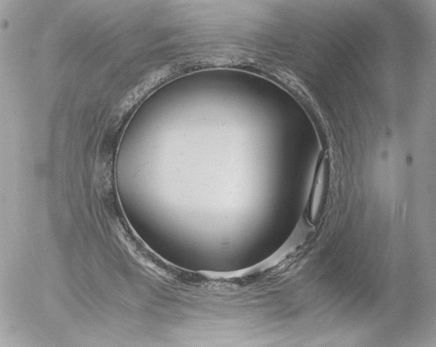 X0000052600393200507221639